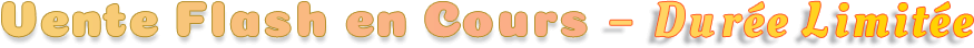 IObit